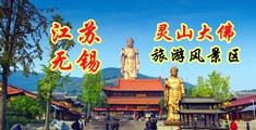 鸡巴插小逼视频软件江苏无锡灵山大佛旅游风景区